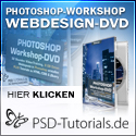 Webdesign Workshop DVD