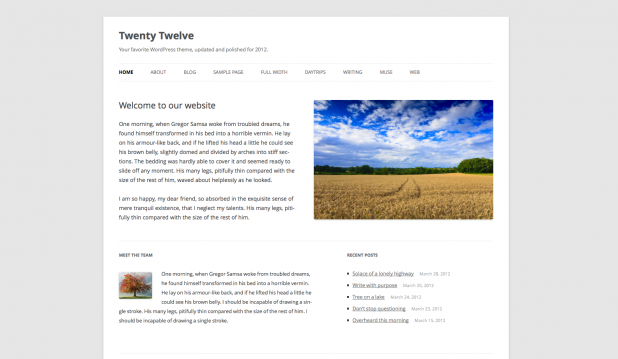 WordPress Standard Theme Twenty Twelve