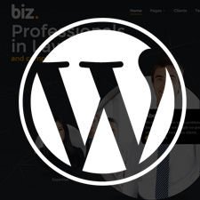 WordPress themes