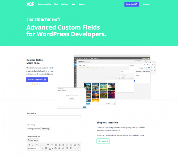 Advanced Custom Fields (ACF)